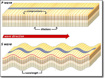 Earthquake Seismic Waves As Body Waves And Surface Waves